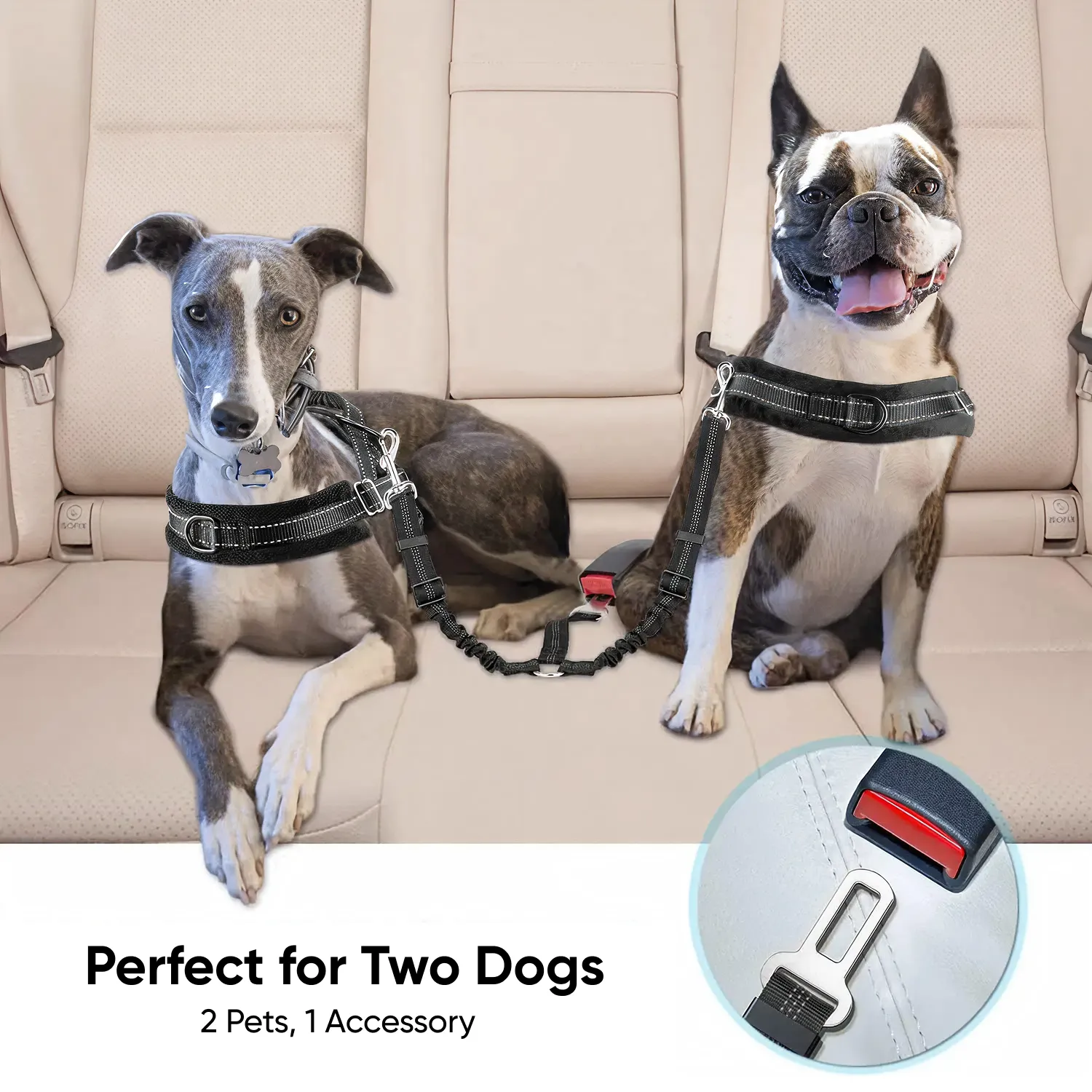 Double Dog Seat Belt, 2 Point Dog Car Seat Belt – Paw Pal Collection  |  Owleys Partnership - View 7