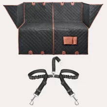 Dual Car Seat Belt