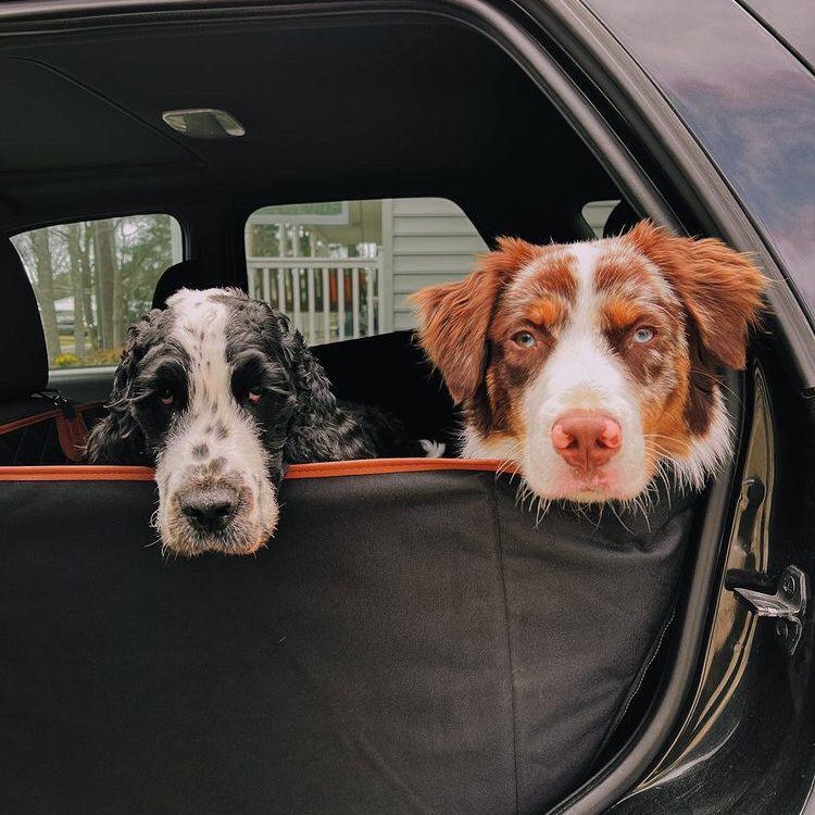 Durable Waterproof Dog Car Seat Cover  |  “Travel Buddy” by Owleys - View 11