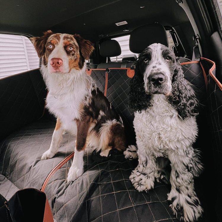 Durable Waterproof Dog Car Seat Cover  |  “Travel Buddy” by Owleys - View 9