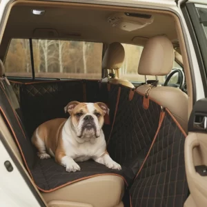 English Bulldog Car Seat Cover  |  “Travel Buddy” by Owleys