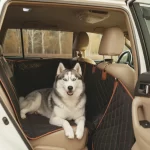 Husky Car Seat Cover  |  “Travel Buddy” by Owleys - View 1