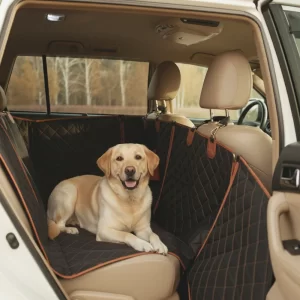 Labrador Car Seat Cover  |  “Travel Buddy” by Owleys