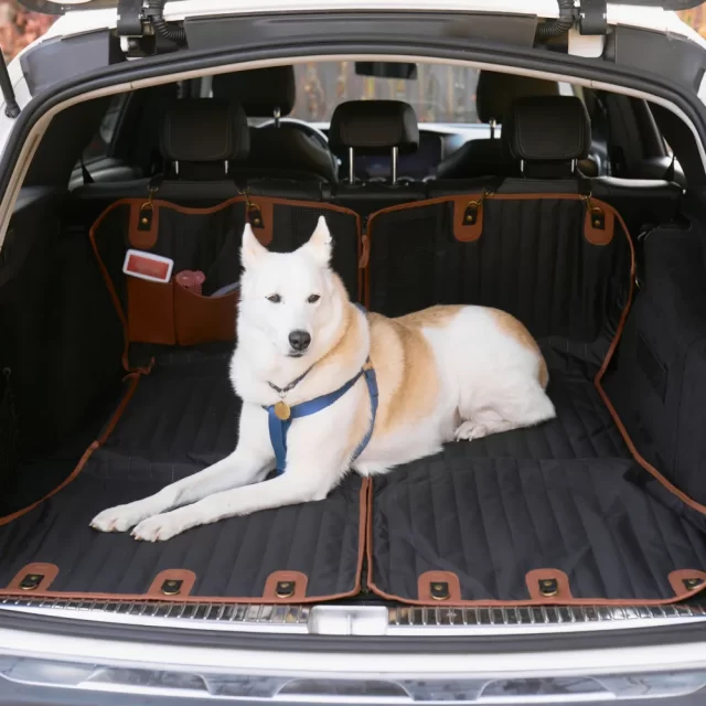 Premium Hard Bottom SUV Cargo Liner for Dogs  |  “Travel Buddy Mk. II” by Owleys
