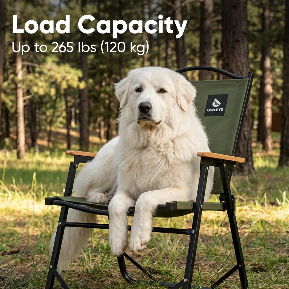 Stable Foldable Camping Chair  |  “Pitstop” by Owleys - View 5
