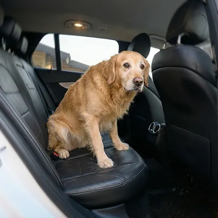 Senior Dog Care Pack 2 Description