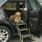 Senior Dog Care Pack  |  Owleys - View 1