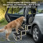 Senior Dog Care Pack  |  Owleys - View 3