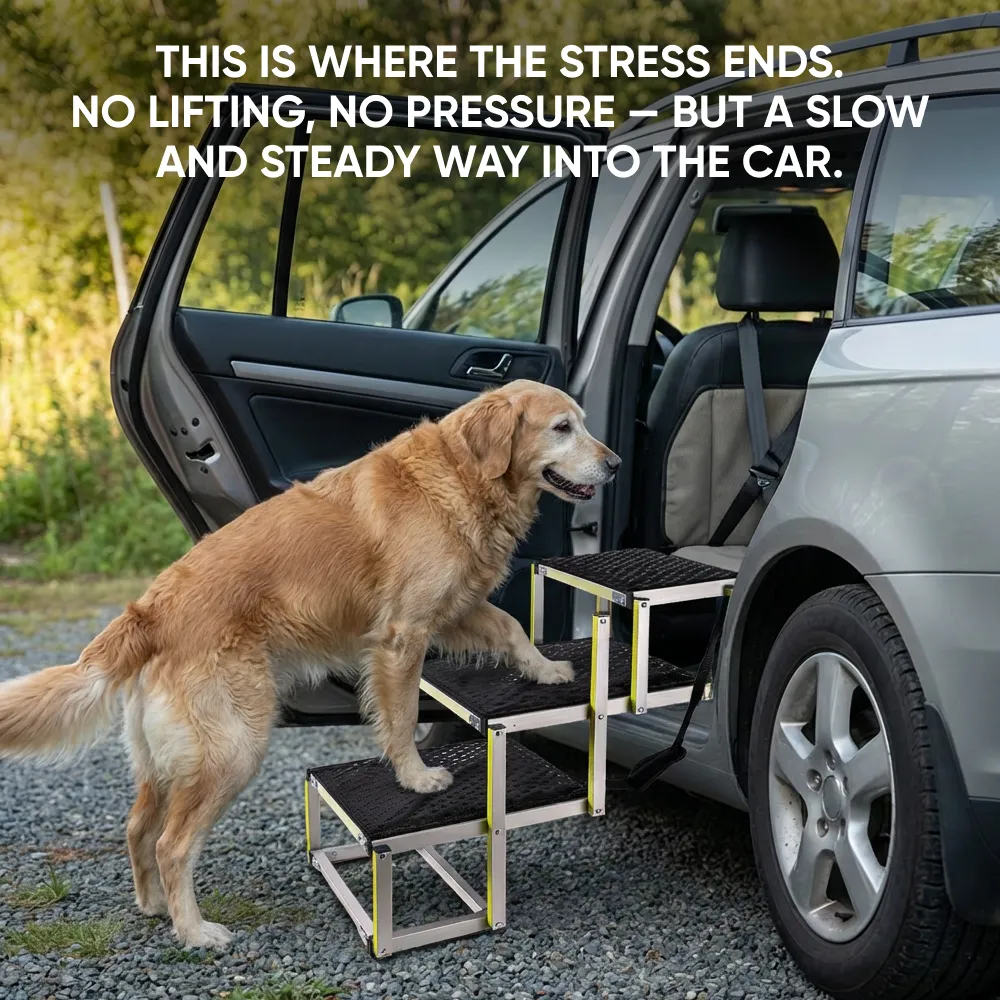 Senior Dog Care Pack  |  Owleys - View 3