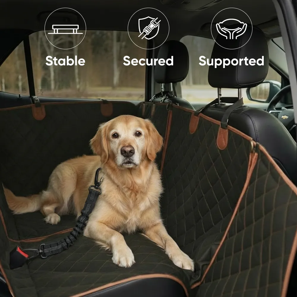 Senior Dog Care Pack  |  Owleys - View 5