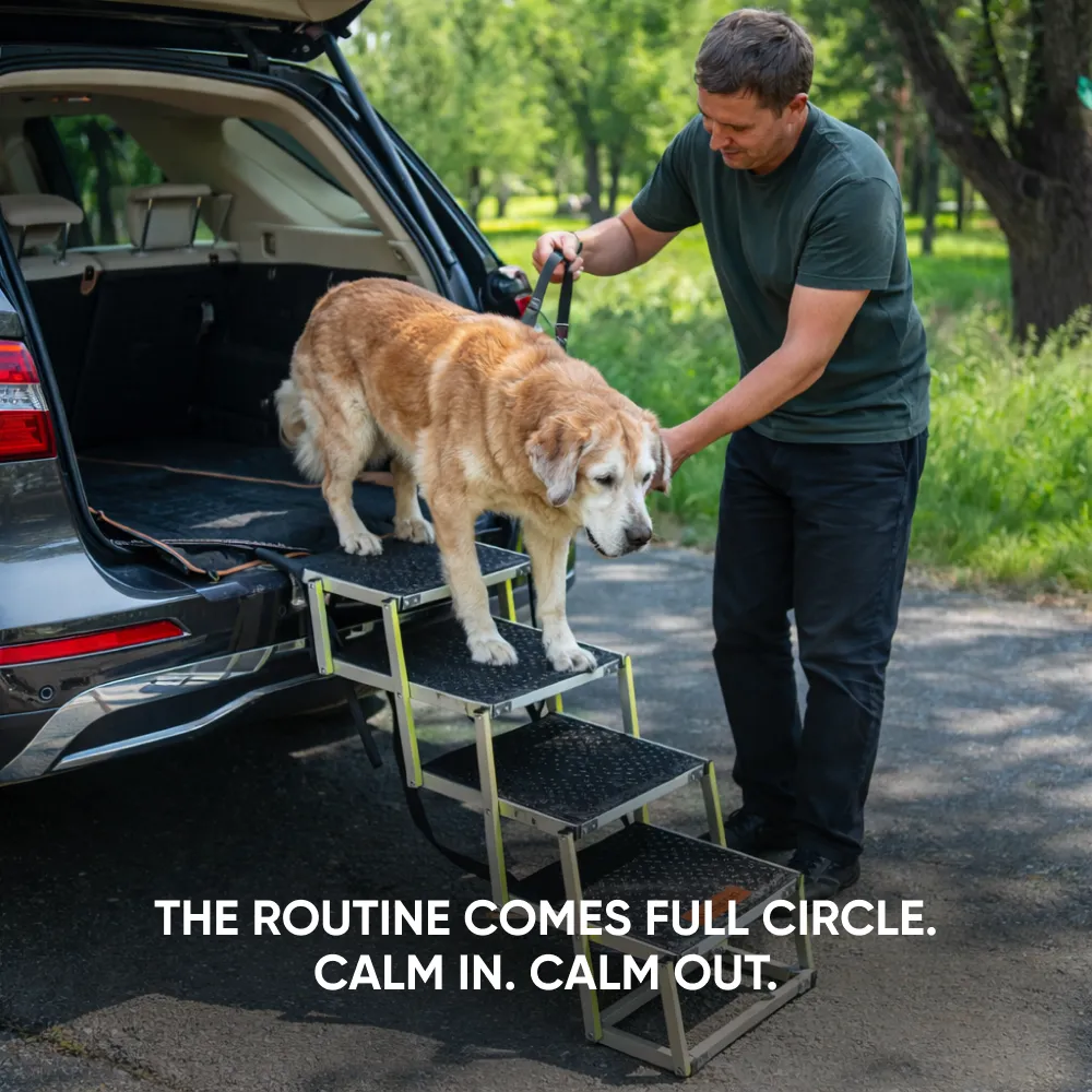 Senior Dog Care Pack  |  Owleys - View 4