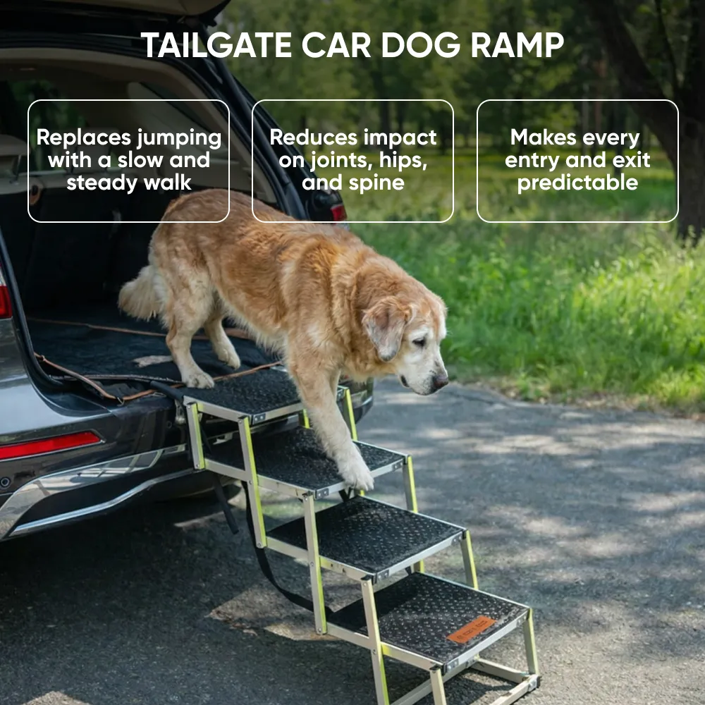 Senior Dog Care Pack  |  Owleys - View 7