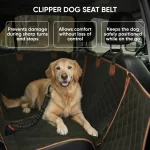 Senior Dog Care Pack  |  Owleys - View 8