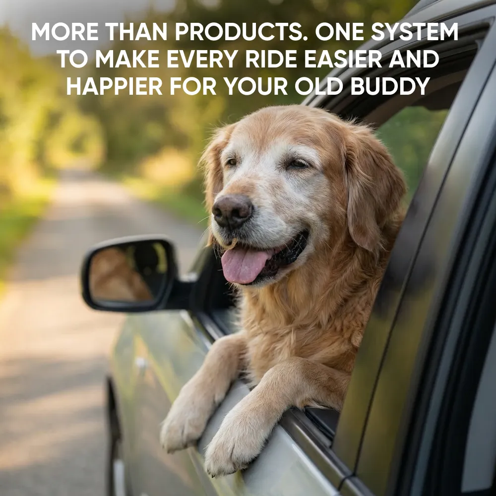 Senior Dog Care Pack  |  Owleys - View 9