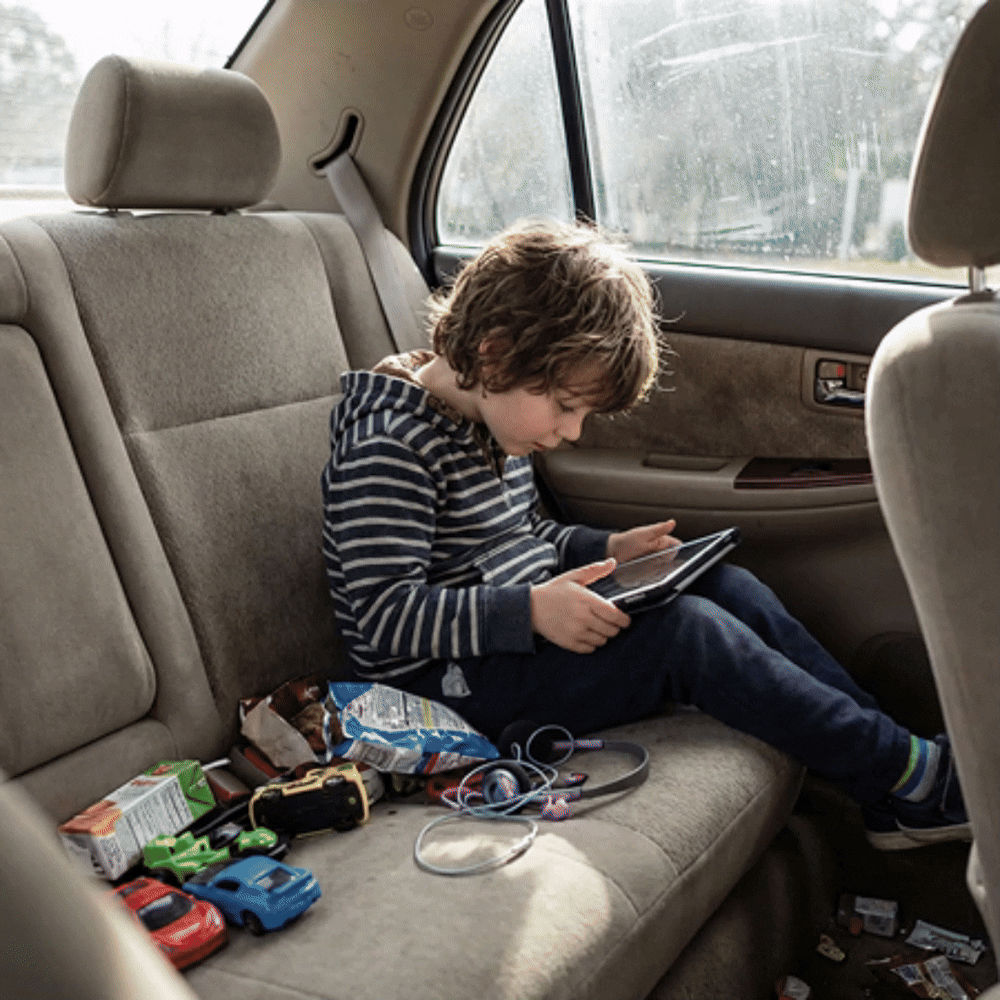 Backseat Command Center 2 Description