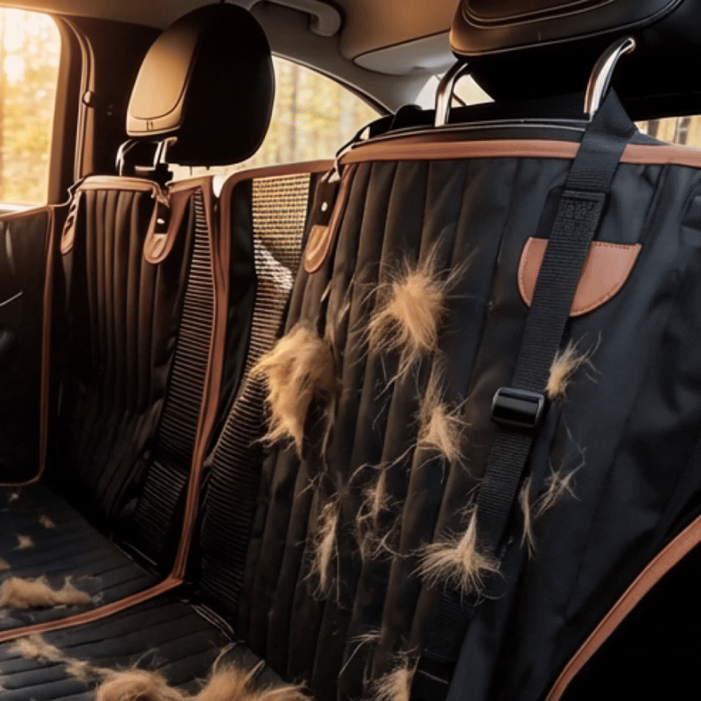 Long-Hair Dog Car Clean Pack 3 Description