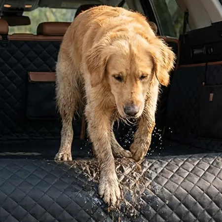 Mudlock Cargo Liner Description