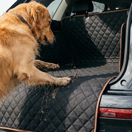 Mudlock Cargo Liner Description