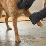 Premium Microfiber Dog Drying Mitts  |  “Nuzzle” by Owleys - View 9