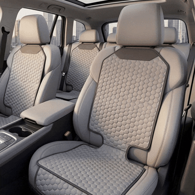 Gray Car Interior Protection Pack 2 Description Gray Car Interior Protection Pack 2 Description