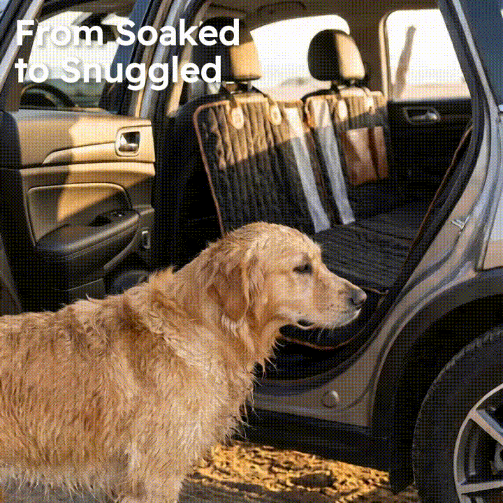 Premium Microfiber Dog Drying Mitts  |  “Nuzzle” by Owleys - View 7