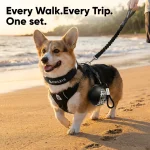 Owleys Dog Walk Set — Harness, Collar, Leash & Bottle  |  Black - View 8