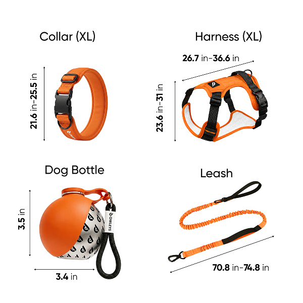 Owleys Dog Walk Set Specifications