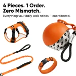 Owleys Dog Walk Set — Harness, Collar, Leash & Bottle  |  Orange - View 2