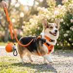 Owleys Dog Walk Set — Harness, Collar, Leash & Bottle  |  Orange - View 5