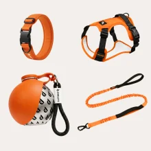Orange & Silver