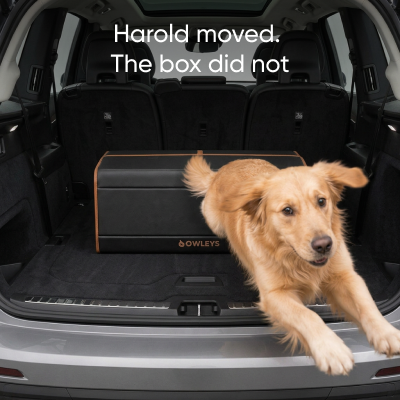 Collapsible Car Trunk Organizer Description