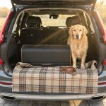 Collapsible Trunk Organizer 80L  |  “Stoway” by Owleys - View 2