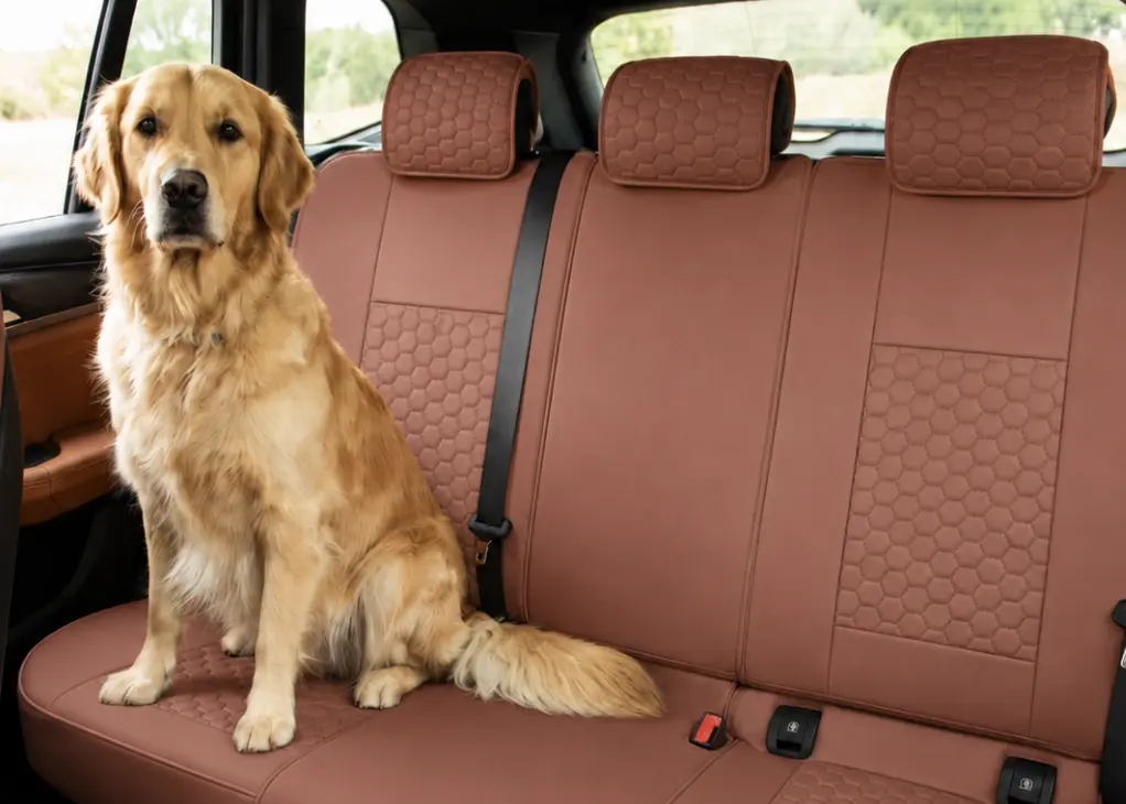 A golden retriever sitting on the caramel Harlow back bench