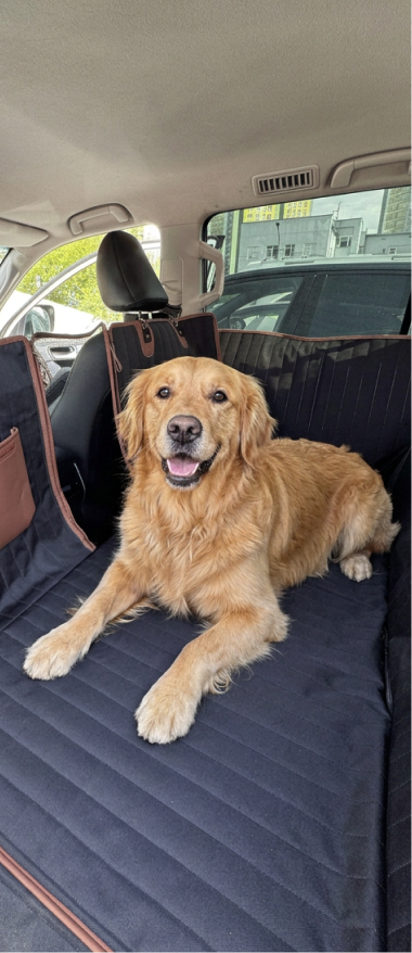Travel Buddy Mk. III 5 Description