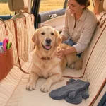 Dry & Ride Bundle – Travel Buddy Light + Nuzzle  |  Owleys - View 1