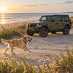 Jeep Wrangler Dog Seat Cover with Hard Bottom  |  “Travel Buddy Mk. III” by Owleys - View 2