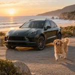 Porsche Macan Dog Seat Cover  |  “Travel Buddy Mk. III” by Owleys - View 2