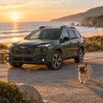 Subaru Outback Dog Seat Cover with Hard Bottom  |  “Travel Buddy Mk. III” by Owleys - View 2