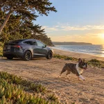 Tesla Model X Dog Seat Cover  |  “Travel Buddy Mk. III” by Owleys - View 2