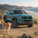 Toyota 4Runner Dog Seat Cover with Hard Bottom  |  “Travel Buddy Mk. III” by Owleys - View 2