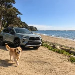 Toyota RAV4 Dog Seat Cover with Hard Bottom  |  “Travel Buddy Mk. III” by Owleys - View 2