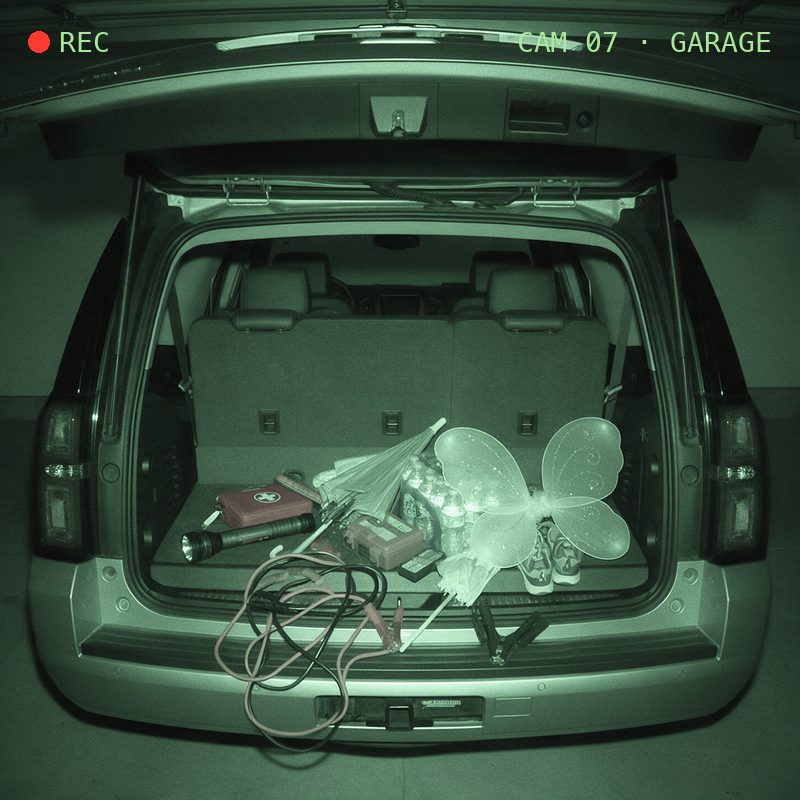 The Swallower · Free Car Reselling Kit